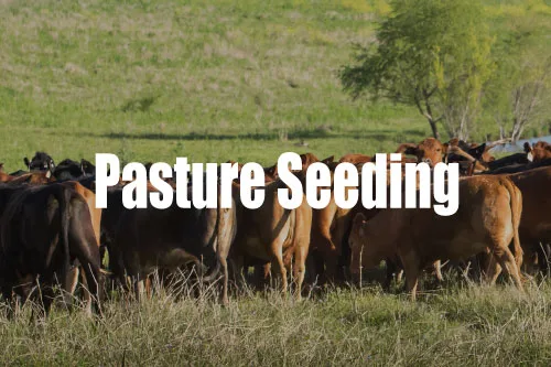 Pasture Seeding