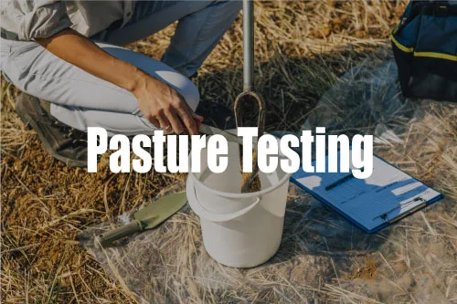 Pasture Testing